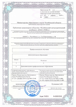 Лицензия (страница 3)